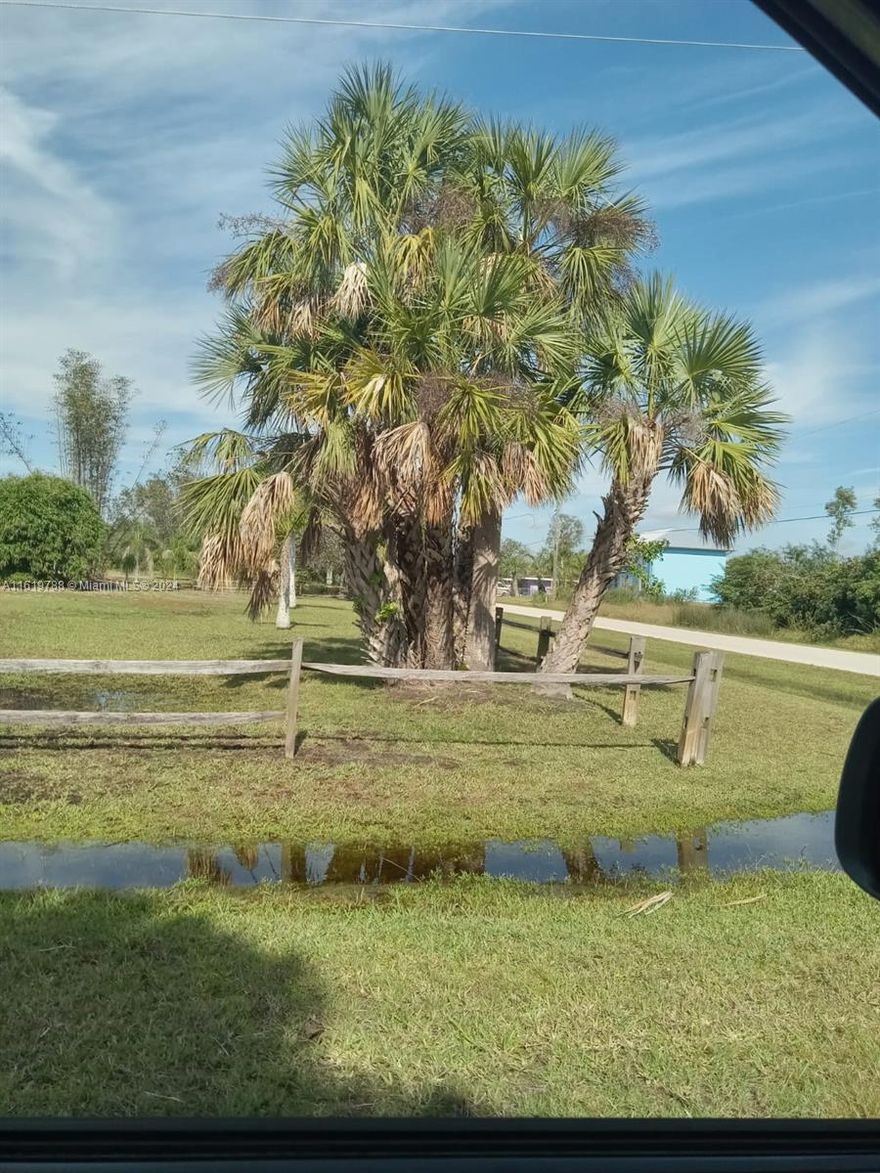 Beautiful and perfect situated lot , very closed to water access to Darst Park ca 200 m . Lot is Wooded  , Utilities (water/electric) available , closed to Punta Gorda Airport, shopping, Parks and recreation.
Property also for rent @ $500/ month