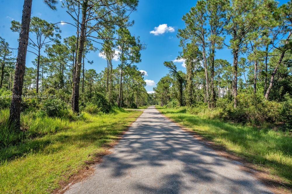Your opportunity to build in beautiful Sebring! ?? This spacious lot at 8176 Mantua Ave offers paved road frontage in a peaceful neighborhood—ideal for a primary home, vacation retreat, or smart investment. Just minutes from Sebring International Golf Resort, Highlands Hammock State Park, and Lake Jackson for boating & fishing. Enjoy the charm of Downtown Sebring, recently highlighted on HGTV’s Home Town Takeover, with its boutiques, dining & festivals. Motorsport fans will love the world-famous Sebring International Raceway, home to the legendary 12 Hours of Sebring. Perfectly positioned in Central Florida, you’re less than 2 hours to Gulf & Atlantic beaches and Orlando’s attractions. Don’t miss this chance to create your future in Sebring!
