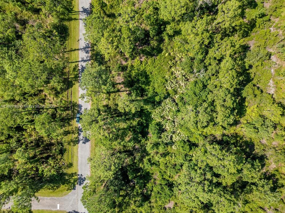 Sun N Lake Estates - Land