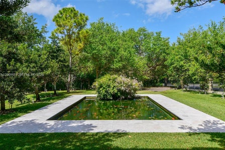 Koi Pond