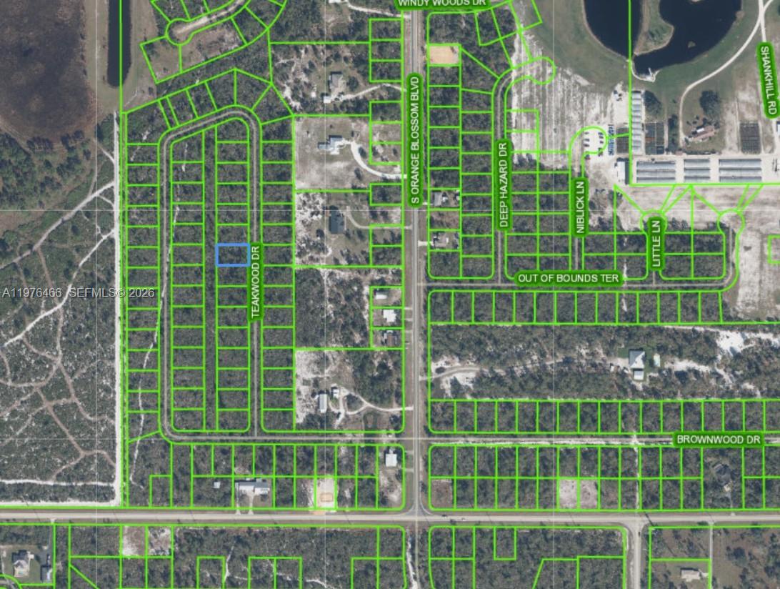 ORANGE BLOSSOM - Land
