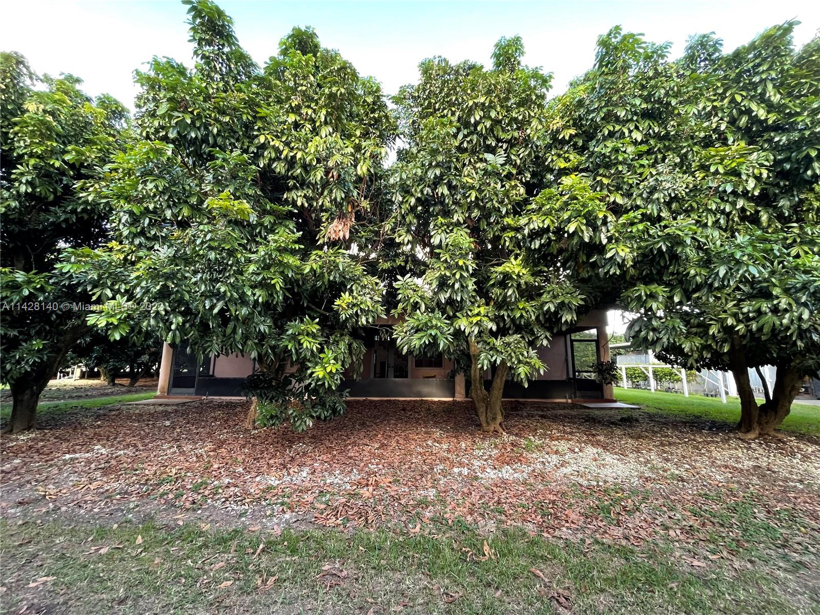 The Redland - Residential