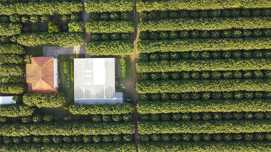 Turn Key 29 Acre Income Producing Longan Farm, with a Huge 5/4 Home 3 car Garage 80x80 Steal Building, tons
of storage Containers and packing equipment. 2 x 28 foot refrigeration units for cold storage of produce. Pictured
Farm equipment included and much more!