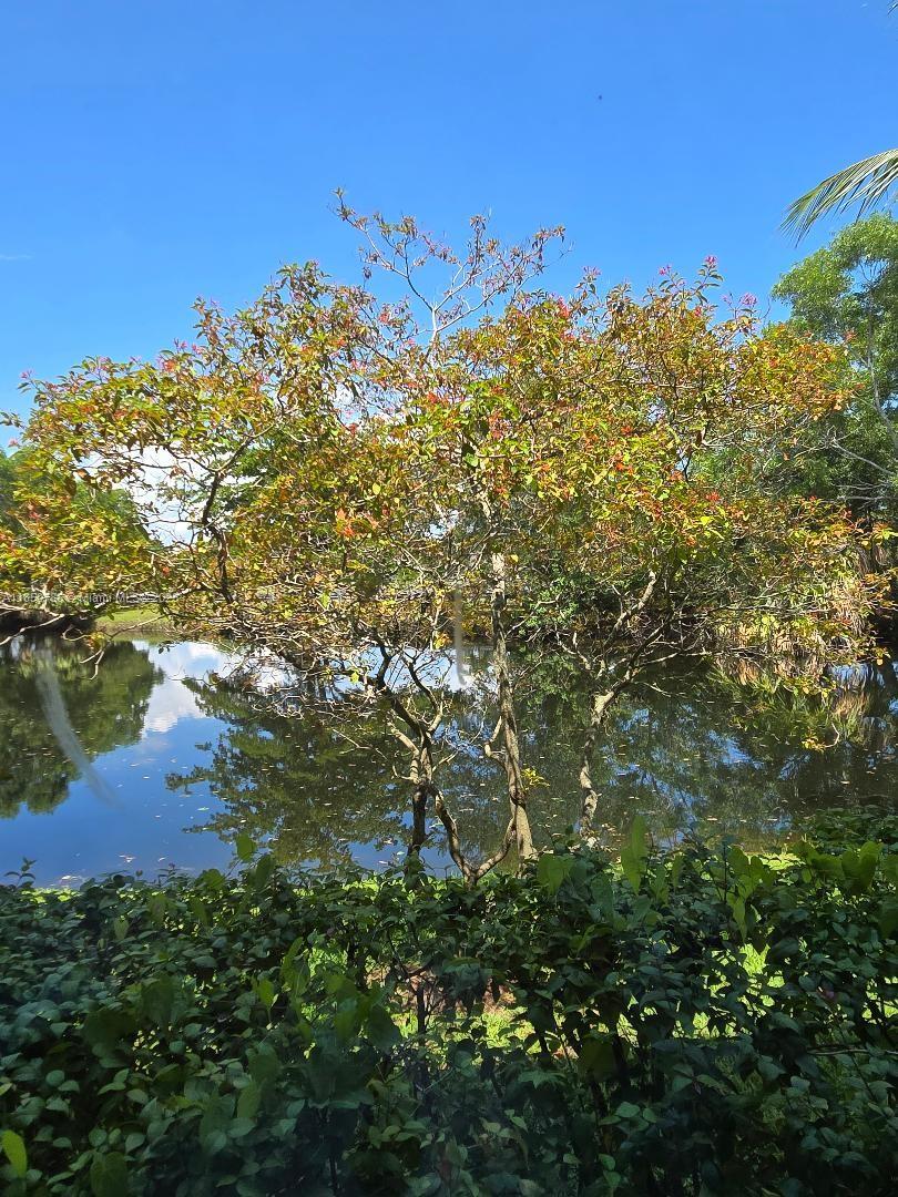 RACQUET CLUB APTS AT BONA - Residential