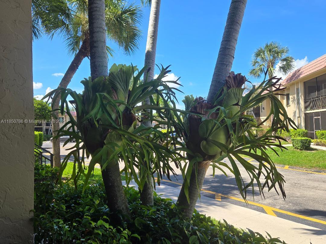 RACQUET CLUB APTS AT BONA - Residential