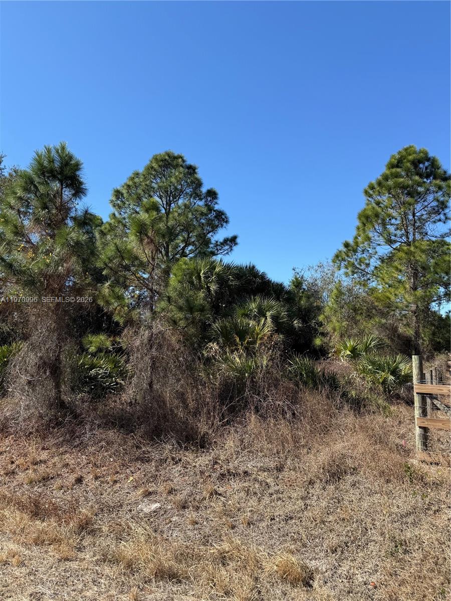 Montura Ranches - Land