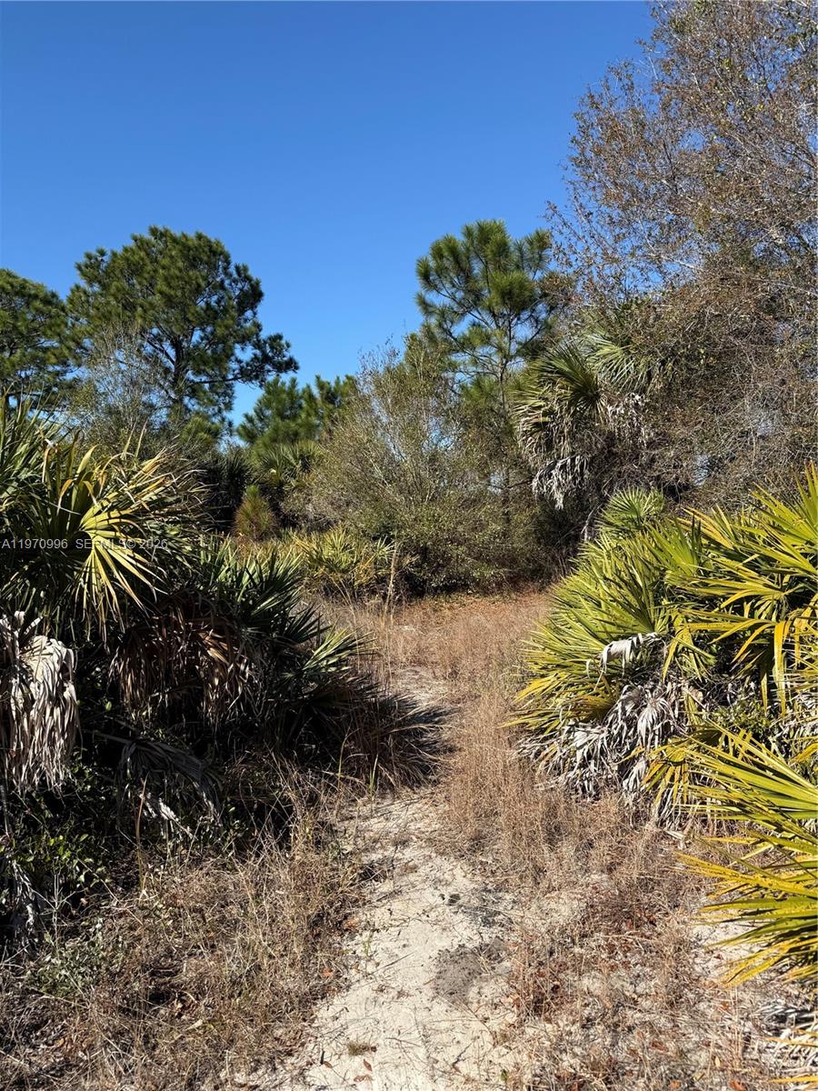 Montura Ranches - Land