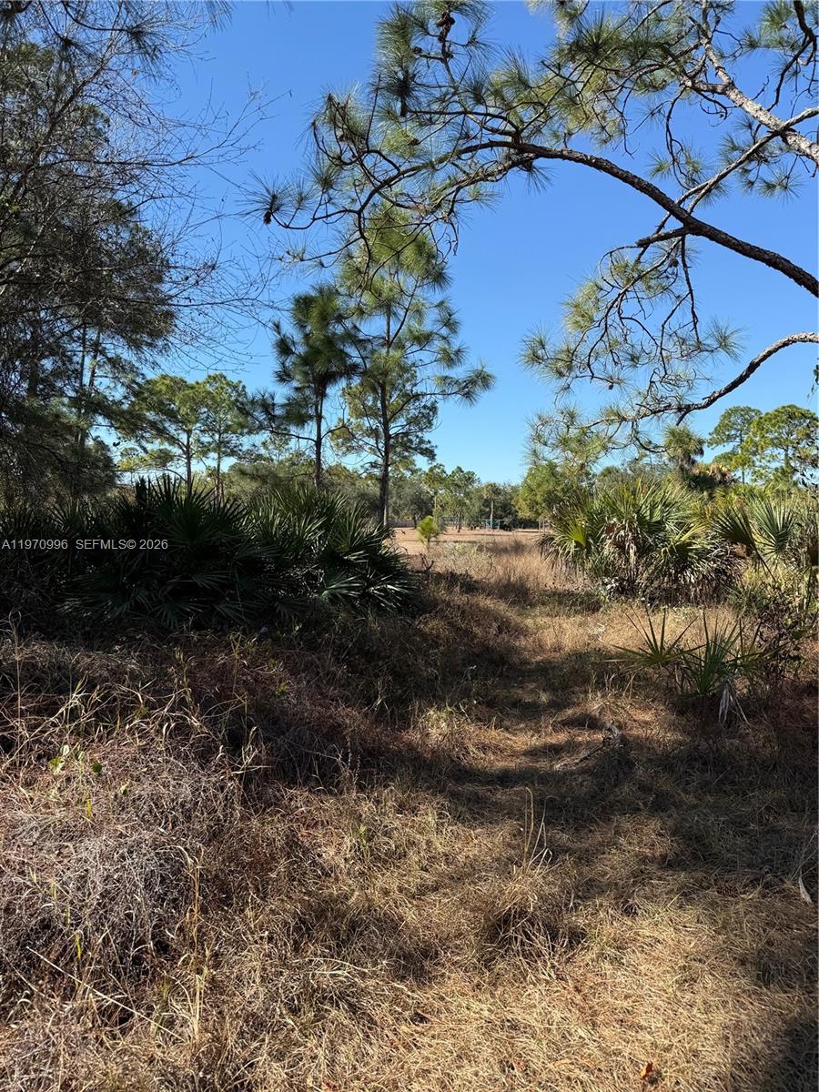 Montura Ranches - Land