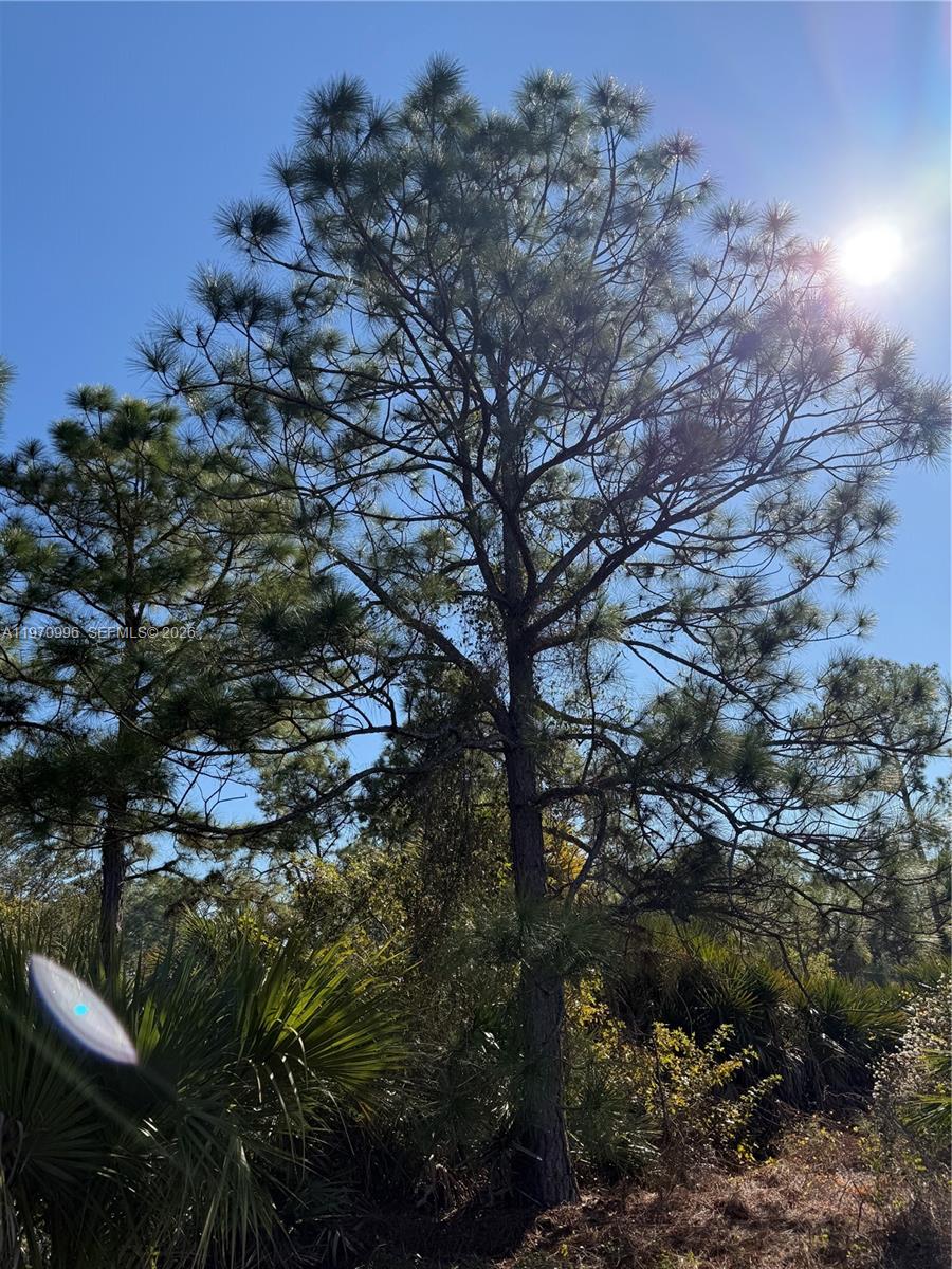 Montura Ranches - Land