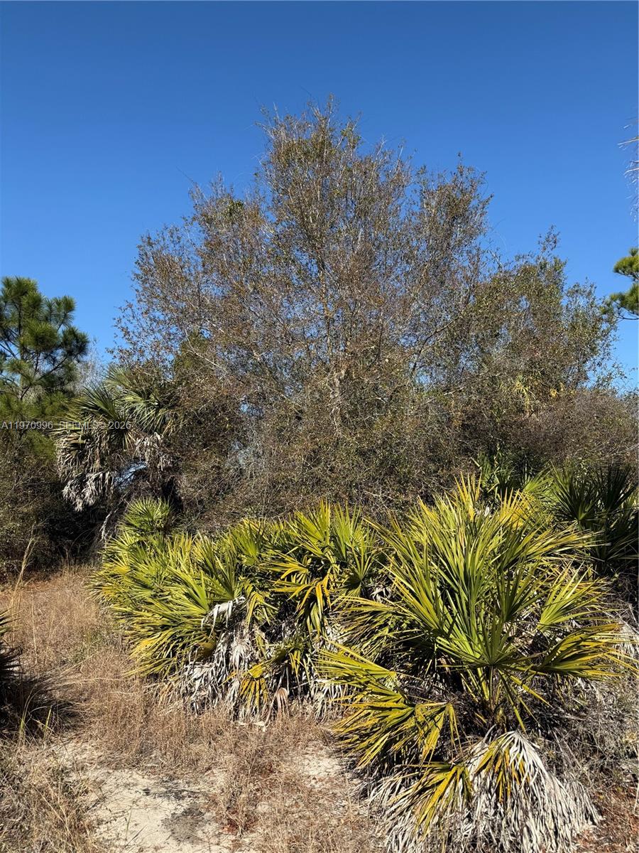 Montura Ranches - Land