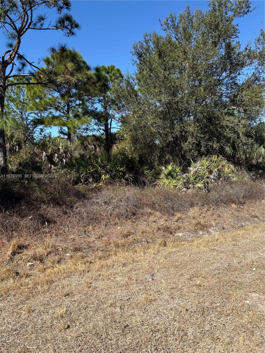 Montura Ranches - Land