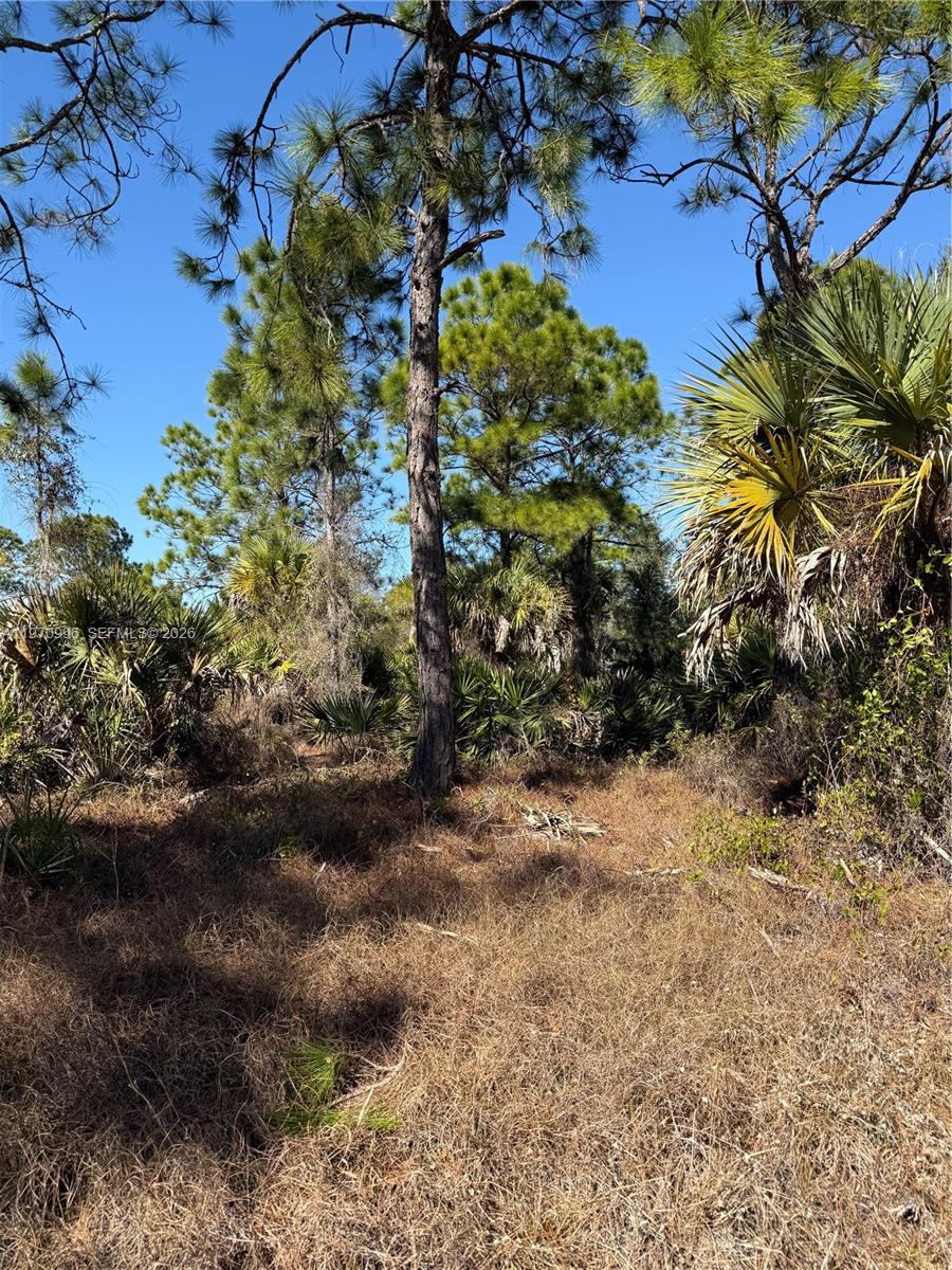 Montura Ranches - Land