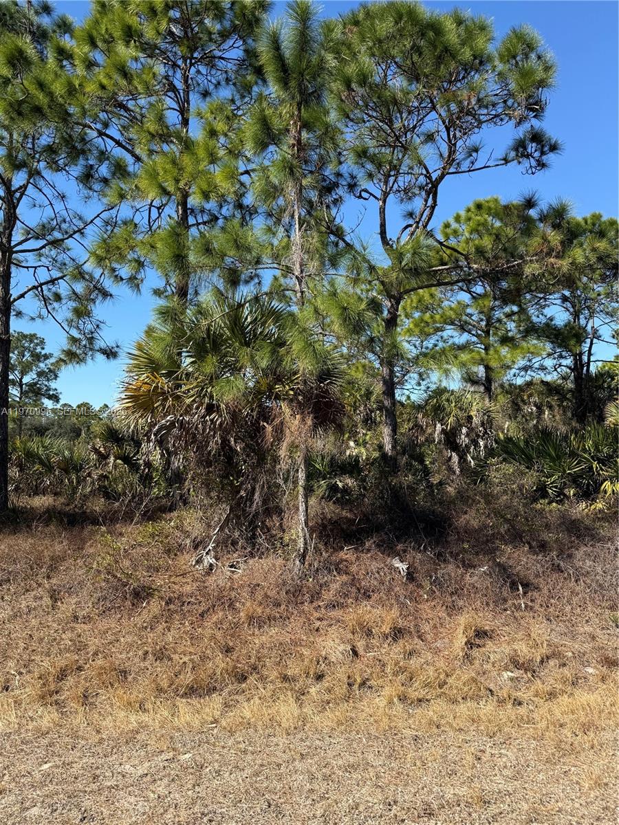 Montura Ranches - Land