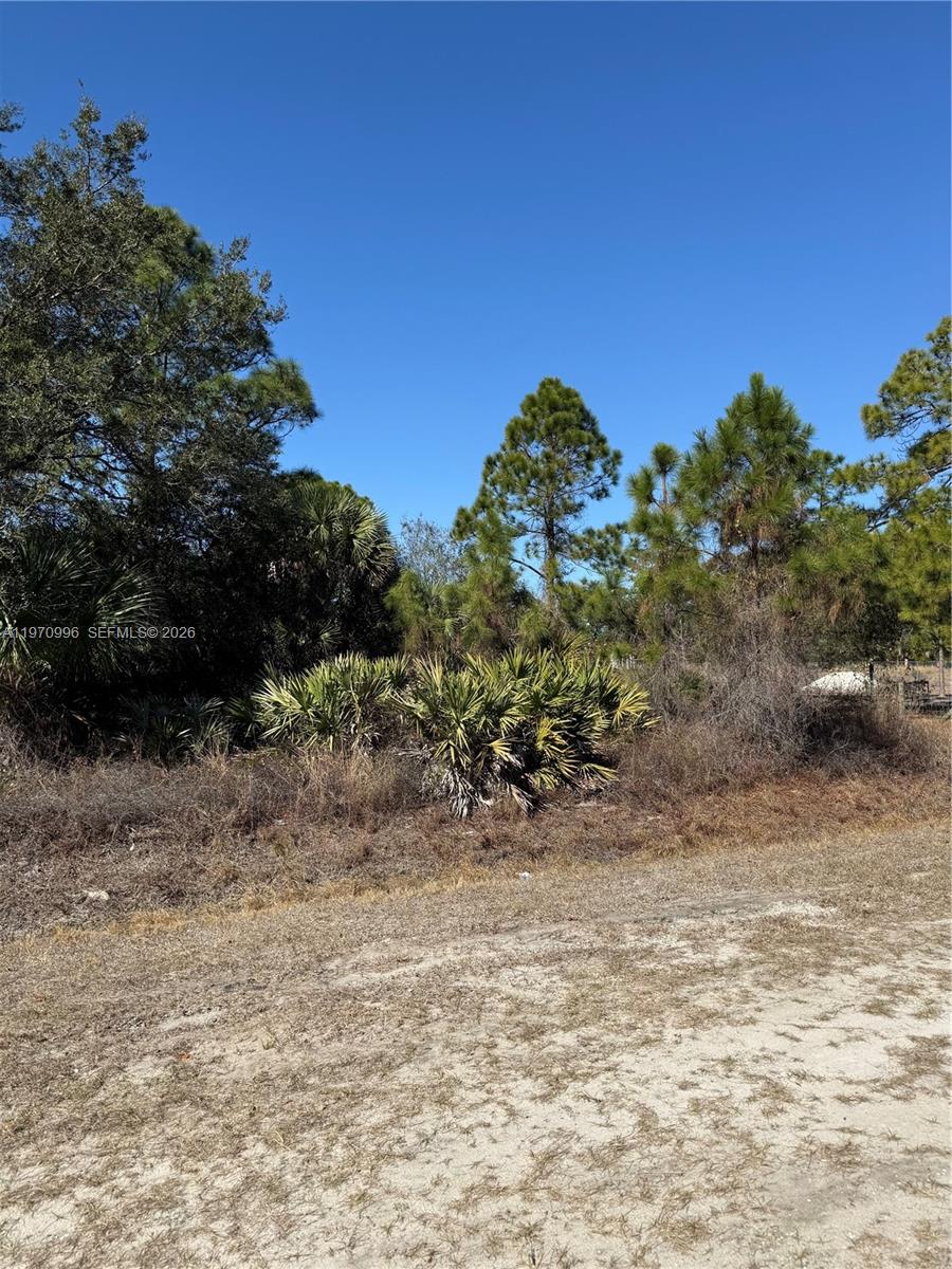 Montura Ranches - Land