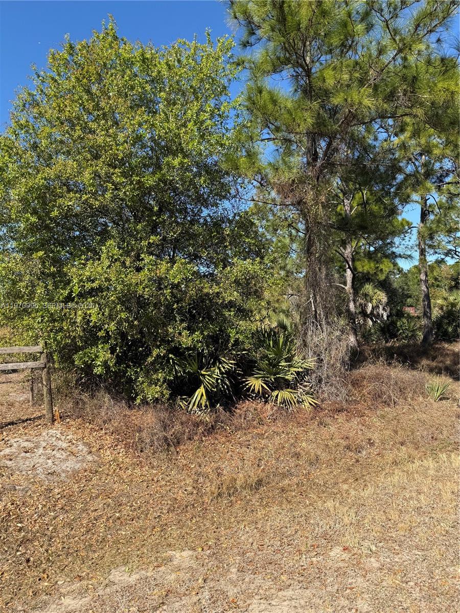 Montura Ranches - Land