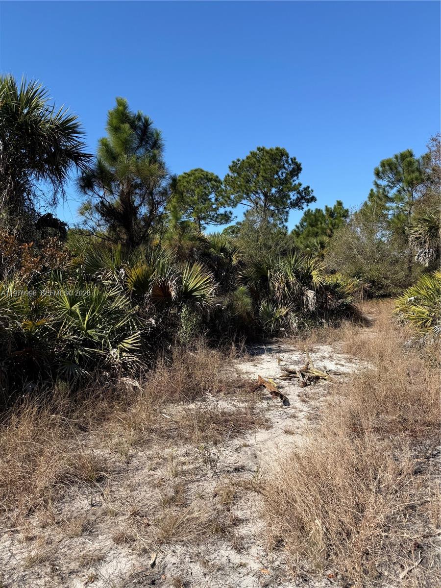 Montura Ranches - Land