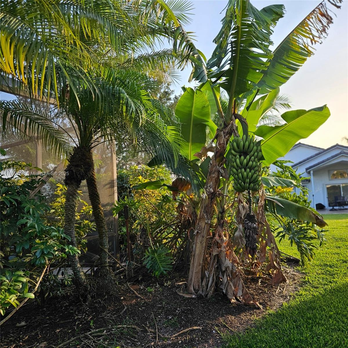 EGRET NEST - Residential