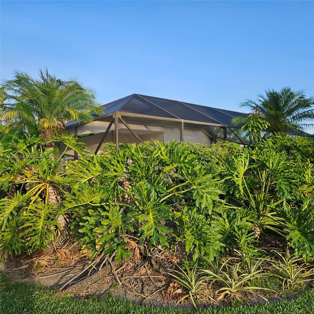 EGRET NEST - Residential