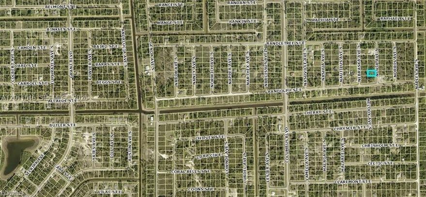 Last Lot Available in Lehigh Acres – Don’t Miss Out! ?? This is your final opportunity to own a prime residential lot in the growing community of Lehigh Acres, FL! Perfect for building your dream home or making a smart investment.