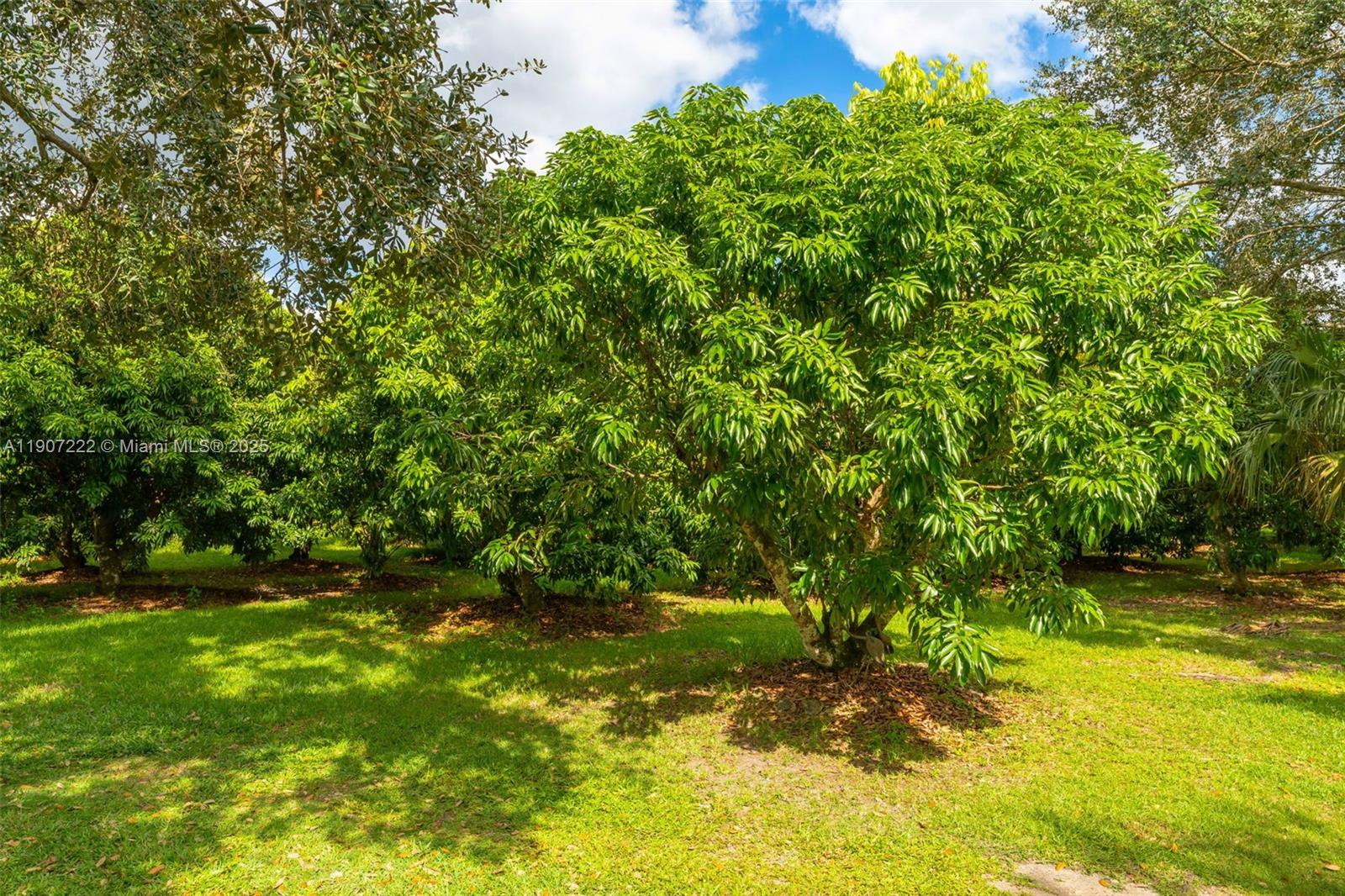 Redland 1.54 Acre - Residential