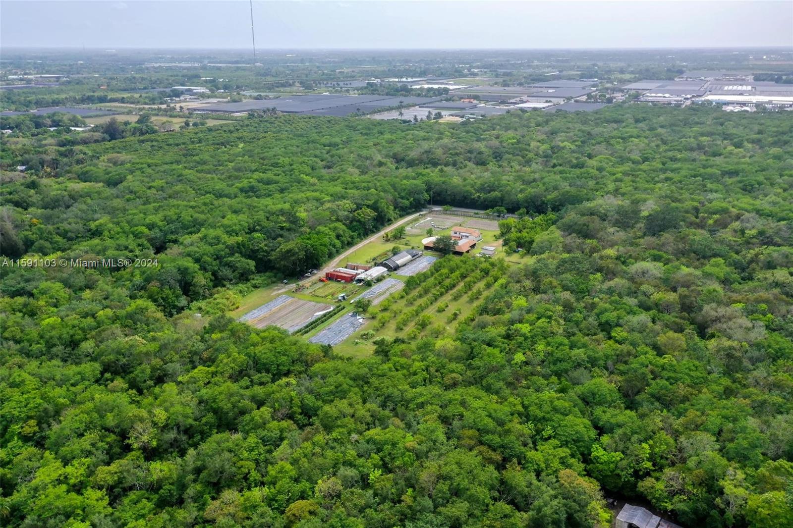 REDLAND CITRUS ORCHARDS S - Land