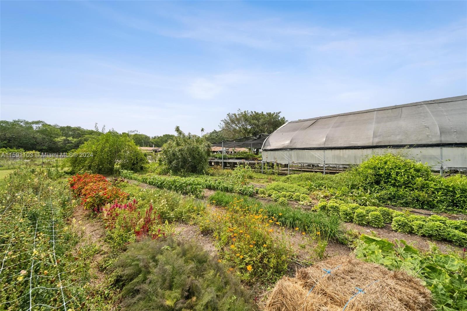 REDLAND CITRUS ORCHARDS S - Land