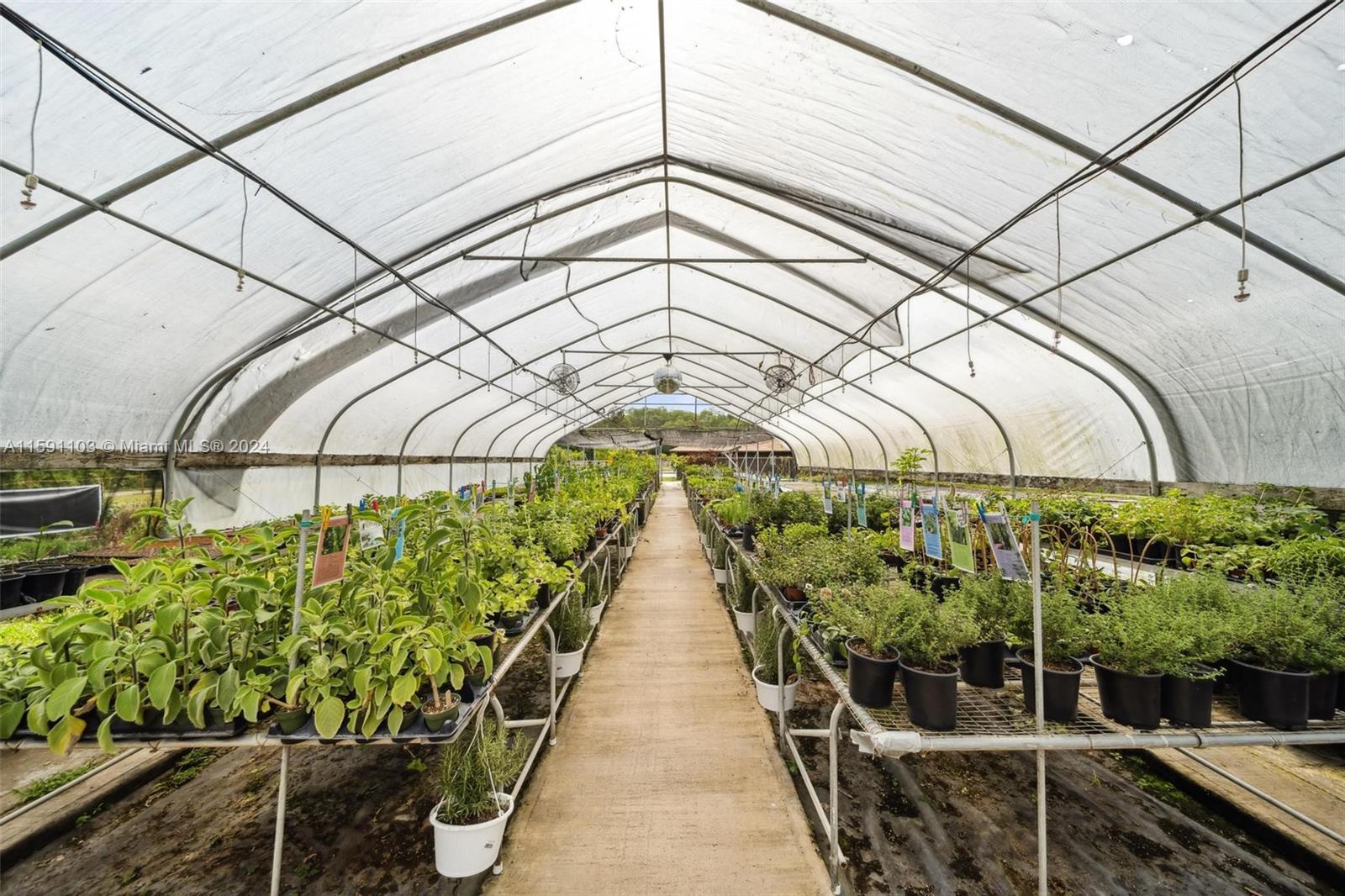 REDLAND CITRUS ORCHARDS S - Land