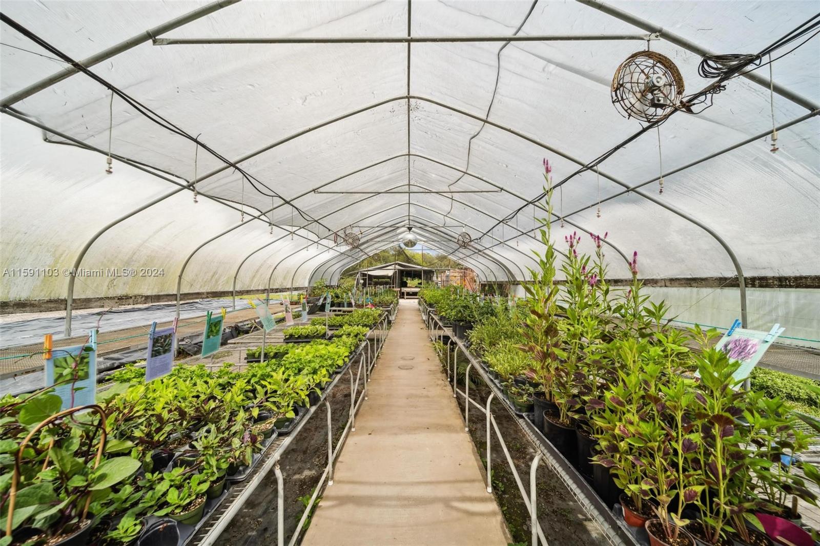 REDLAND CITRUS ORCHARDS S - Land