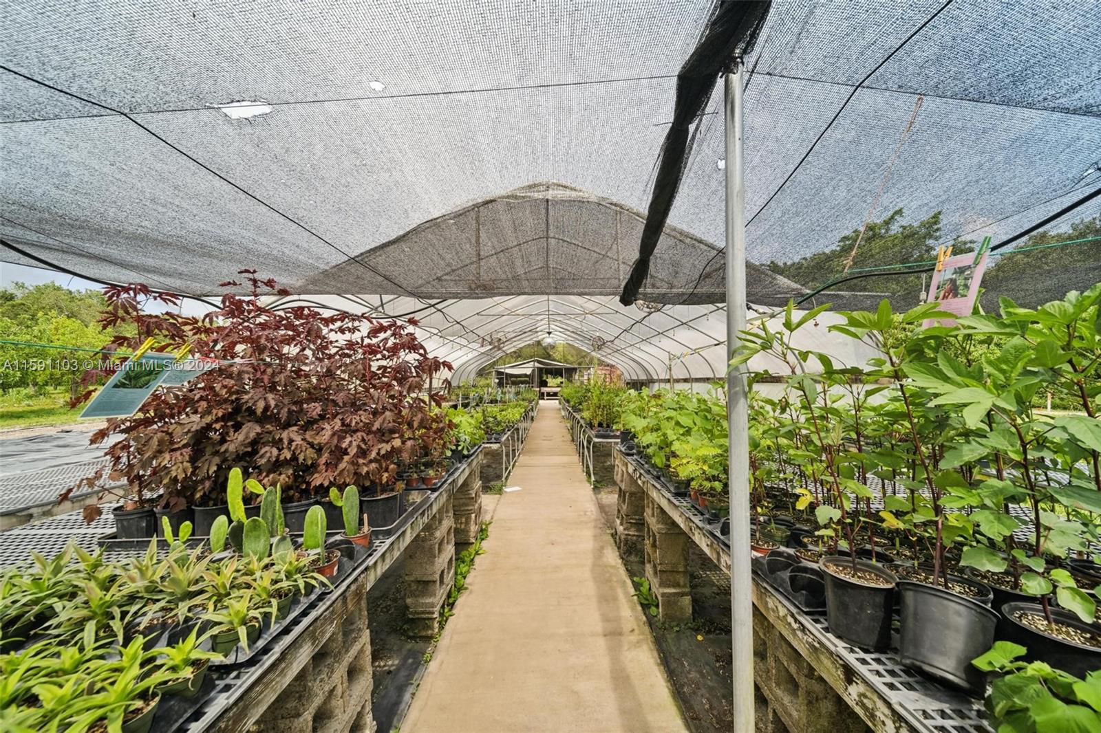 REDLAND CITRUS ORCHARDS S - Land