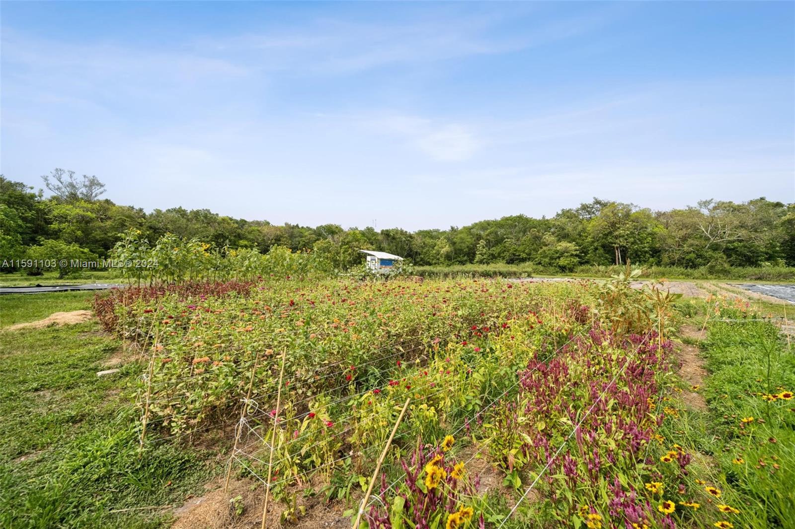 REDLAND CITRUS ORCHARDS S - Land