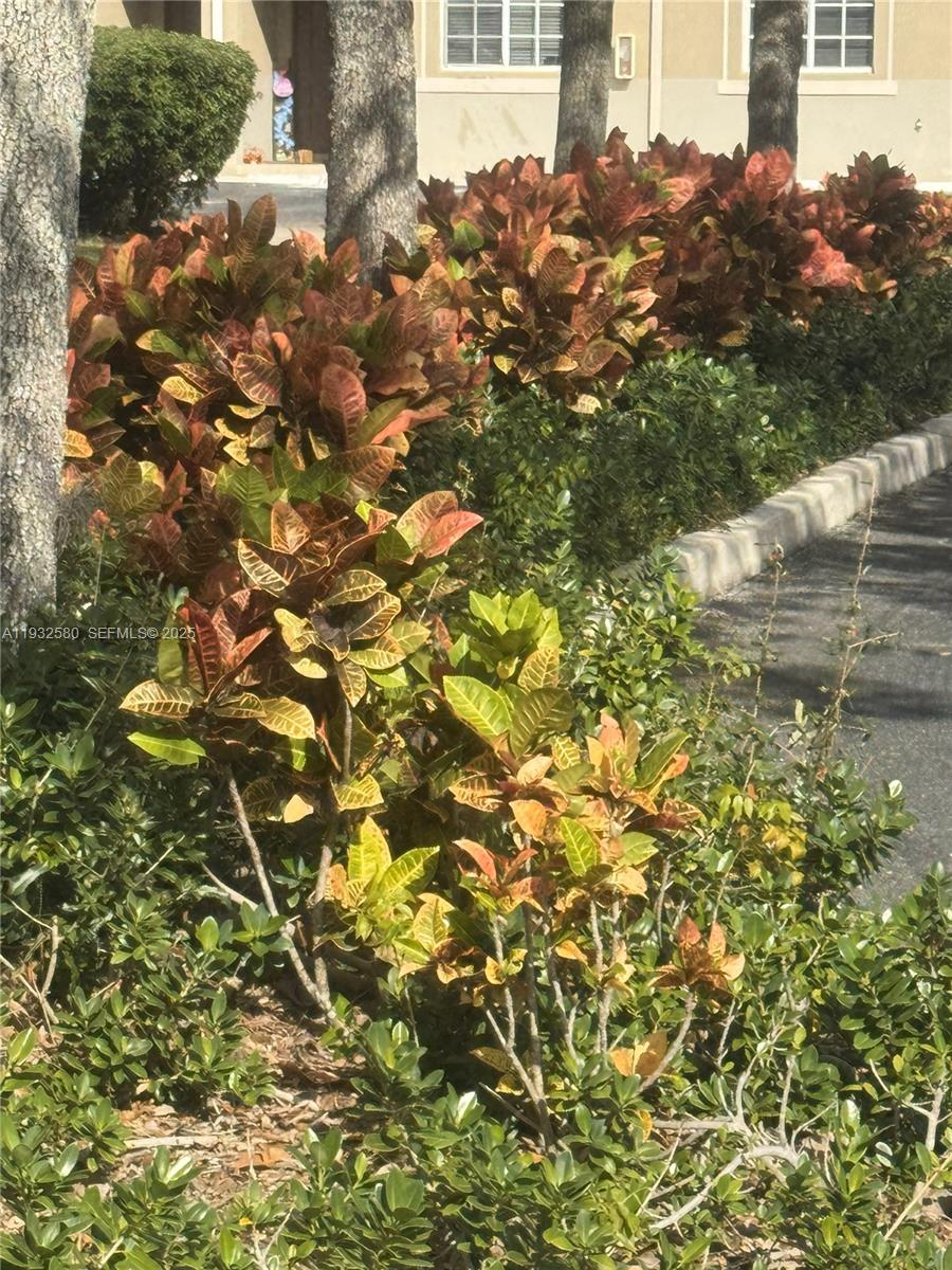 MAJORCA ISLES III CONDO - Residential