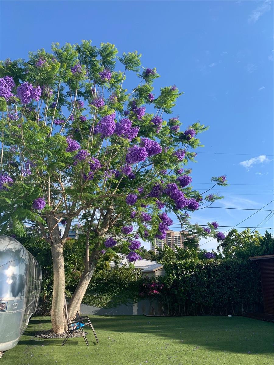 PARKDALE HEIGHTS - Residential