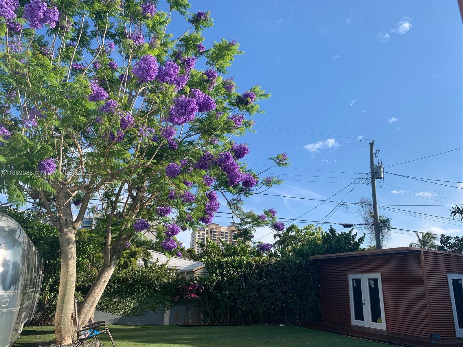 PARKDALE HEIGHTS - Residential