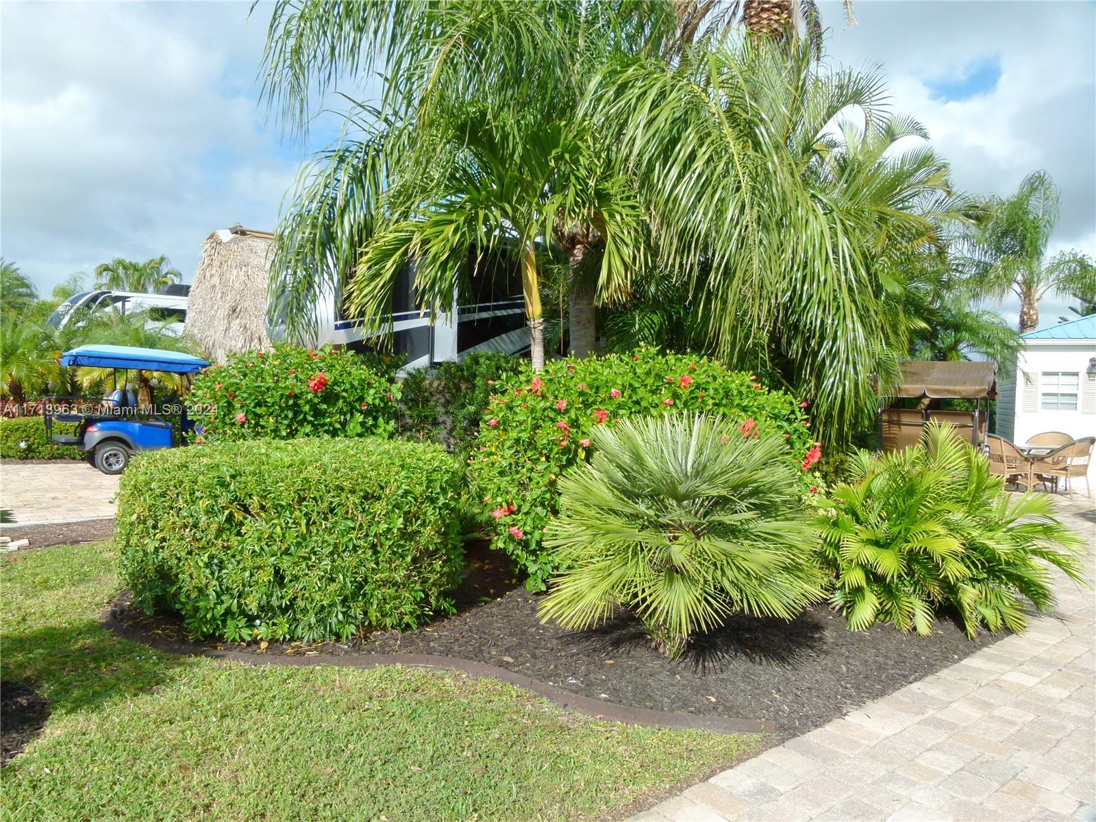 Silver Palms RV Resort - Land