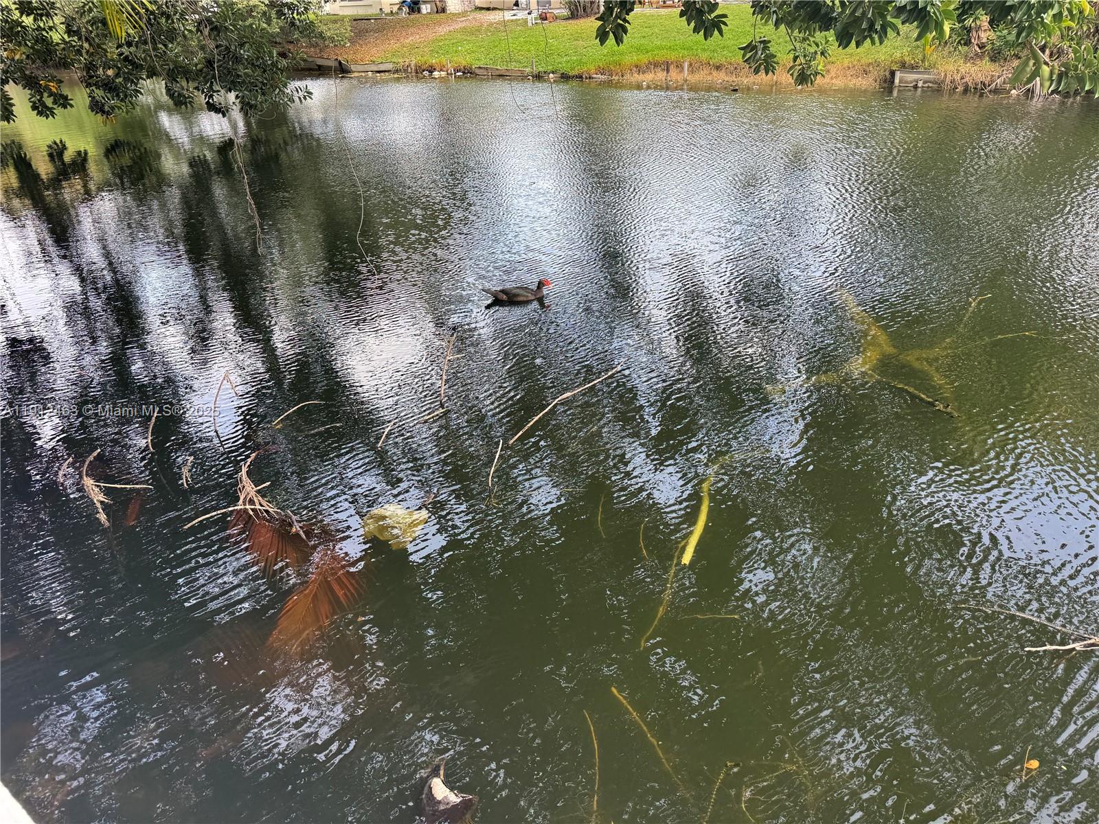 SUNRISE GOLF VILLAGE SEC - Residential Lease