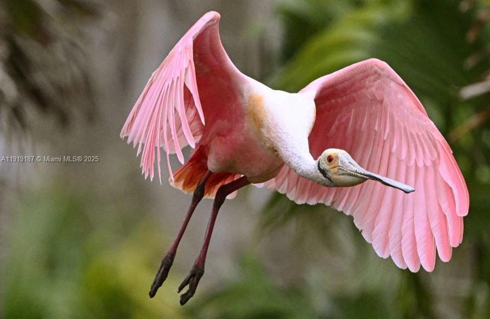 Port Charlotte 56 - Land