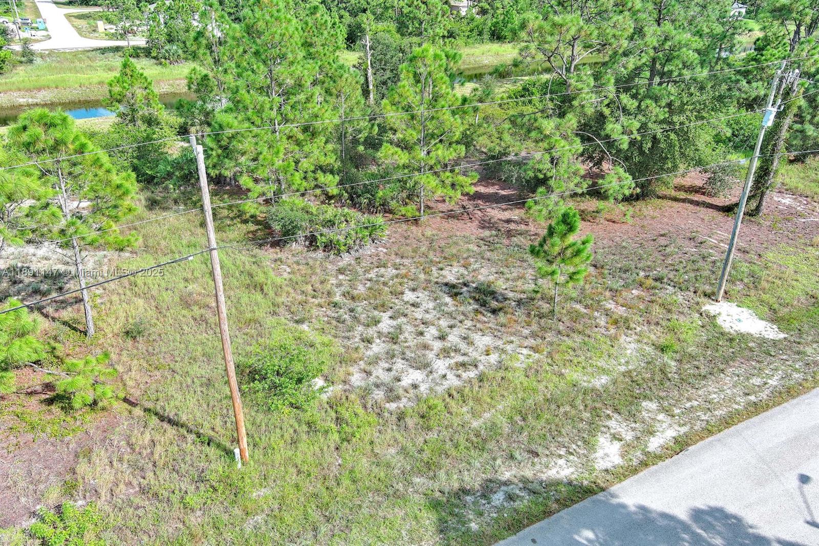 LEHIGH ACRES - Land