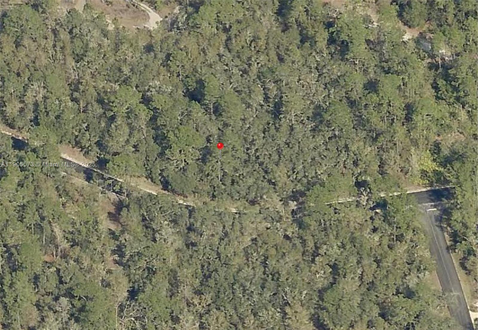 SILVER SPRINGS SHORES #51 - Land