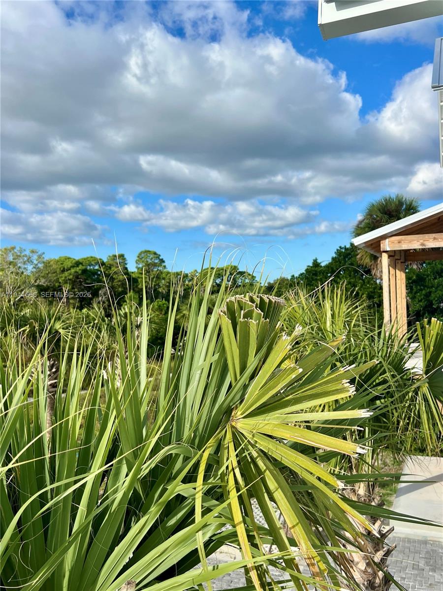 TIDEWATER COURT - Residential