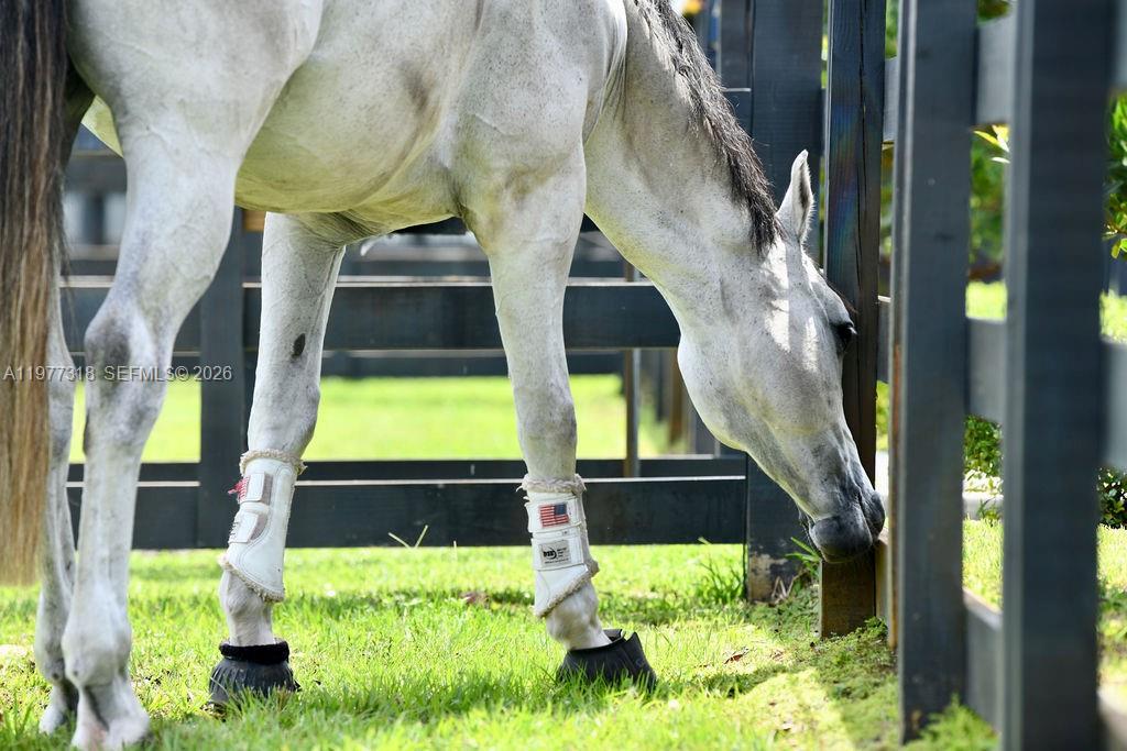 FLA FRUIT LANDS CO SUB NO - Land