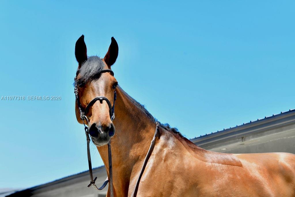 FLA FRUIT LANDS CO SUB NO - Land