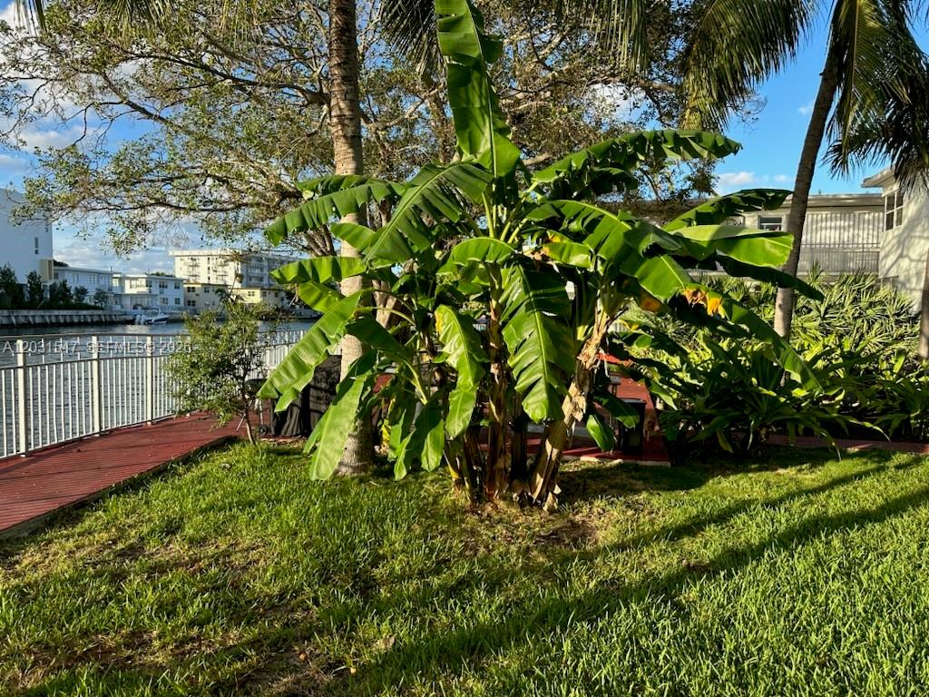 1275 Marseille Dr 40