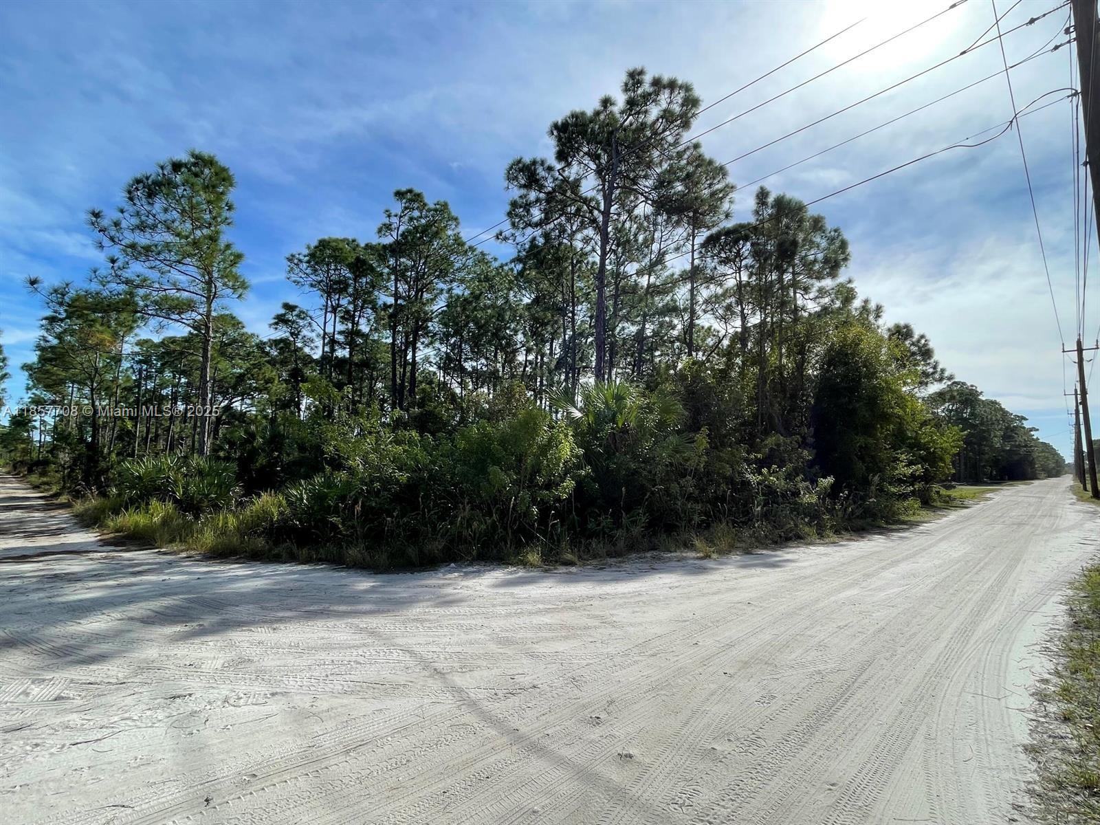 Come build your Dream Home on this corner lot with almost 1 acre (0.8500 Acres) of land surrounded by beautiful pine trees and high-end custom homes. Country living at its best but still only minutes to Hutchinson Island & Beaches. Located in northern St Lucie County, Short drive to Vero Beach or Ft Pierce's downtown area, dining, shopping, the Indian river, our beautiful beaches, this lot is Located near hundreds of acres of preservation land in the Indrio Preserve, Short drive to Fairwinds Golf Club, Meadowood Golf & Tennis club and Treasure Coast International Airport. Bring a boat, RV, & 4-Wheelers to play as there is NO HOA. LOCATION! LOCATION! LOCATION! 6 min to boat ramp, 9 min to 95, 4 min to the shopping center, 12 min to downtown & beach.
