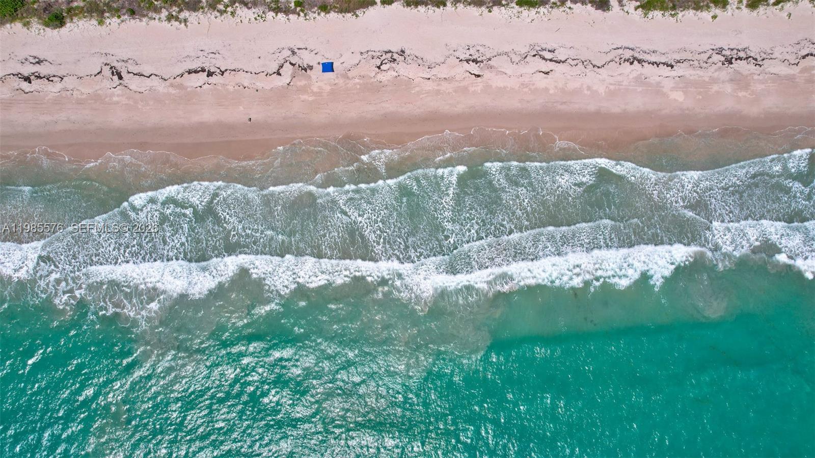 OCEAN HARBOUR CONDOMINIUM - Residential