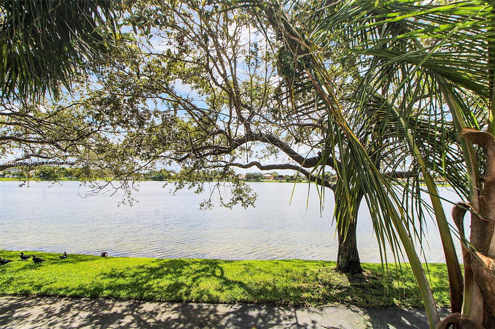 MARBELLA PARK 4TH ADDN - Residential