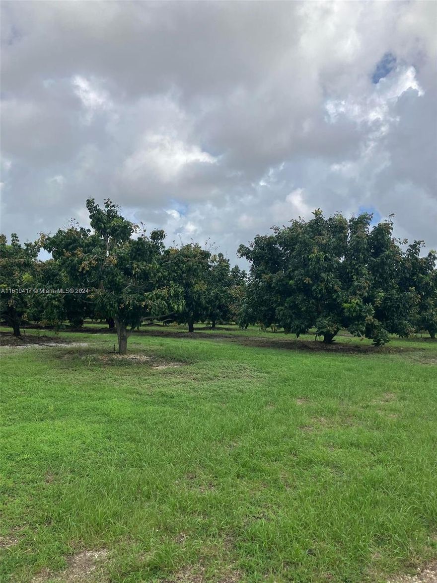 Meticulously maintained 10 acre longan grove is  income producing.   710 longan trees. Fully fenced.  Irrigation.  Located in area of estate homes..  Inside the UDB.