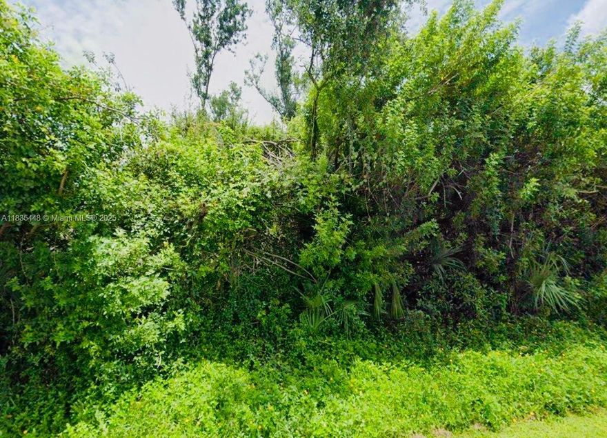 10,000 SQ FT lot undeveloped! Call listing agent for more information.