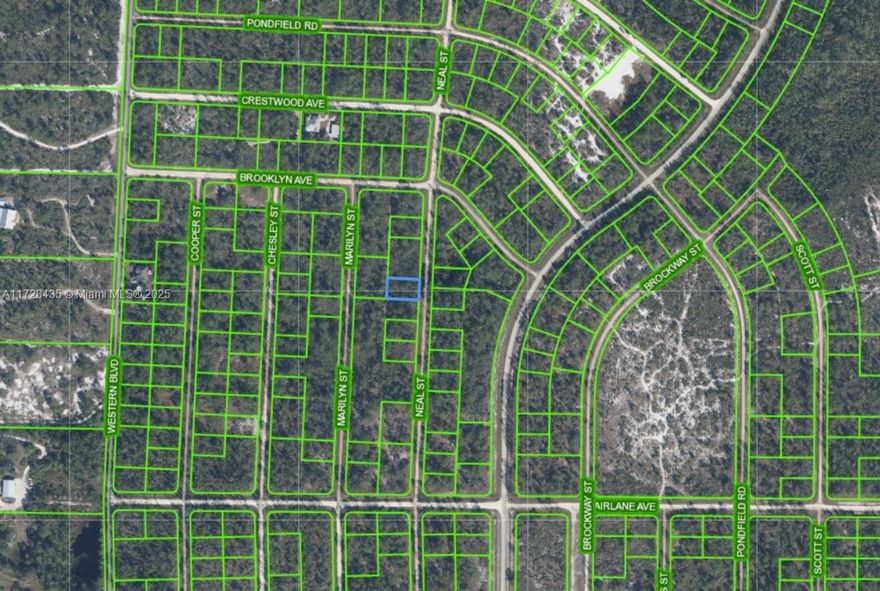 OWNER WILL FINANCE NO CREDIT CHECK NO CREDIT NEEDED. $1,000 DOWN $367.44 PER MONTH FOR 36 MONTHS AT 7% INTEREST. Enjoy everything that Leisure Lakes has to offer. Leisure Lakes is just minutes from charming downtown of Lake Placid, Highlands County is a fisherman’s paradise with over 100 nearby lakes and creeks. Golfer’s will find 2 courses in Lake Placid, and another 13 courses within 20 miles of town. Lake Placid is also home to many parks, and is just a short distance from the enormous Highlands Hammock State Park which is home to more rare species than another other state park in Florida.