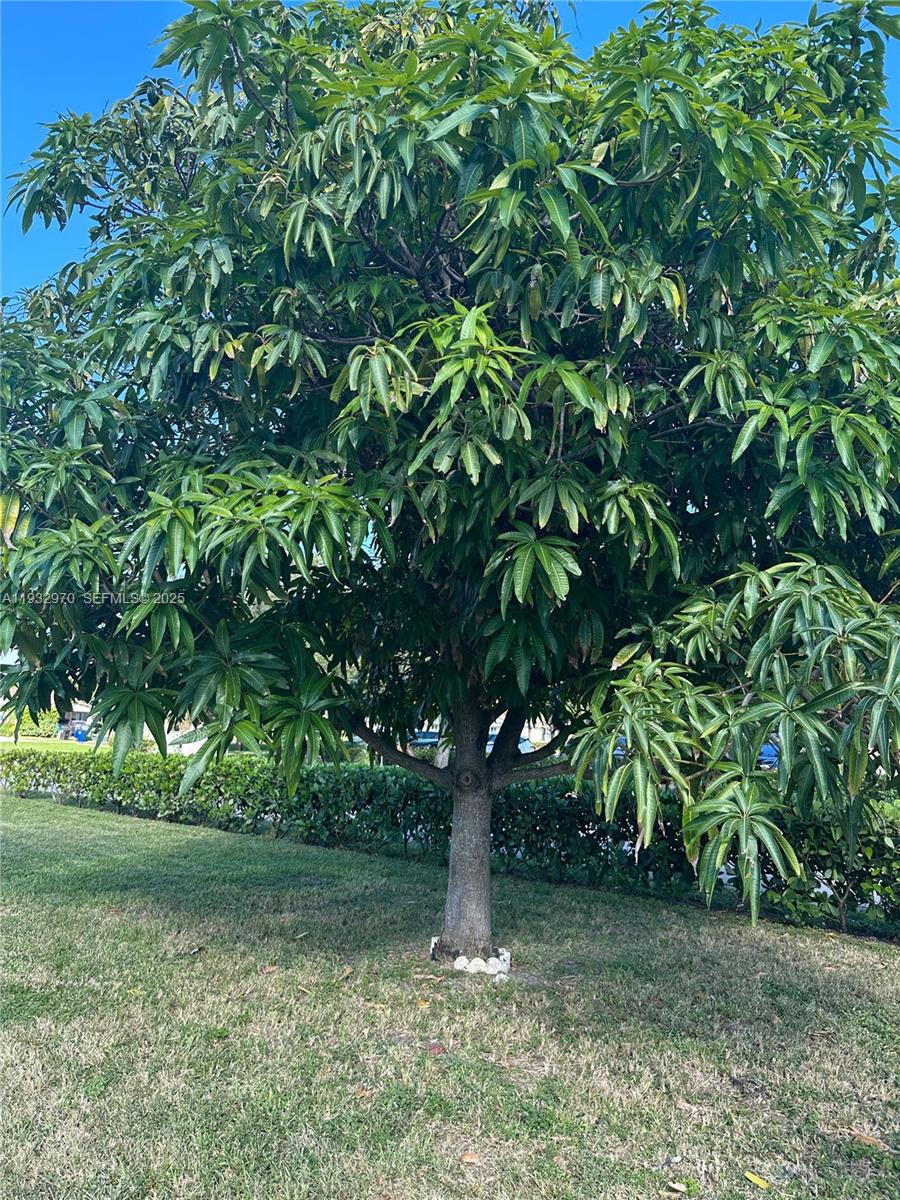 CORAL RIDGE ISLES - Residential Income