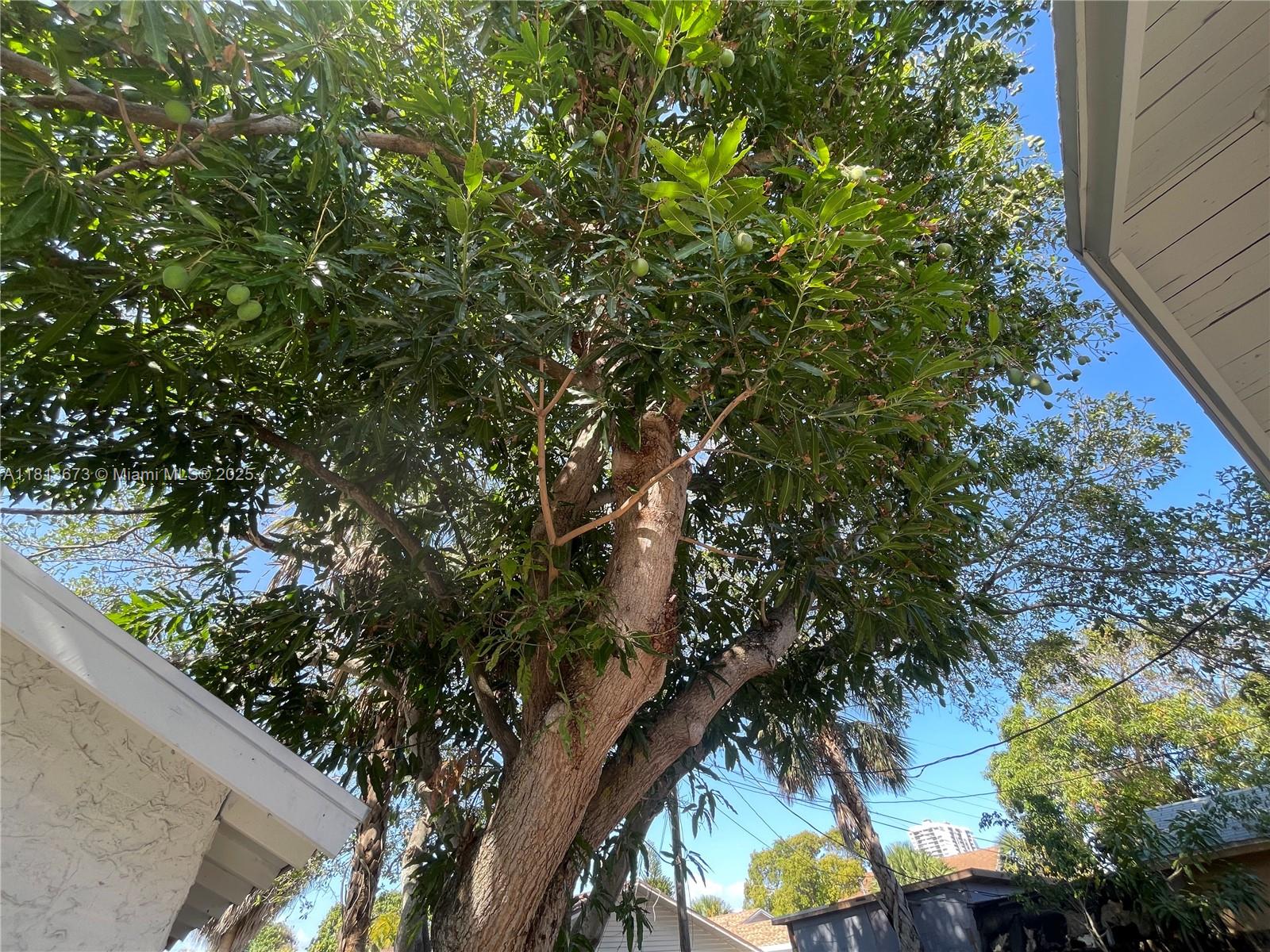 NORTH PALM BCH 4 - Residential